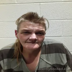 Mugshot of STACY RENEE MCLEMORE booked in Monroe County, Tennessee on June 20, 2026