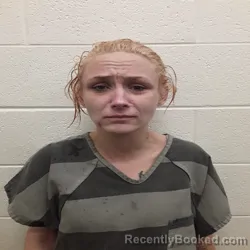 Mugshot of BRITTANY DANIELLE DOERR booked in Monroe County, Tennessee on June 22, 2026