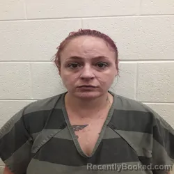 Mugshot of AMBER RENEA LINDSEY booked in Monroe County, Tennessee on June 22, 2026