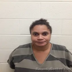 Mugshot of TASHA LADAWN MCSPADDEN booked in Monroe County, Tennessee on June 24, 2026