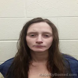 Mugshot of ASHLEY MAE HUGHES booked in Monroe County, Tennessee on June 26, 2026