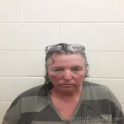 Mugshot of TAMMY MICHELLE WATSON booked in Monroe County, Tennessee on June 28, 2026