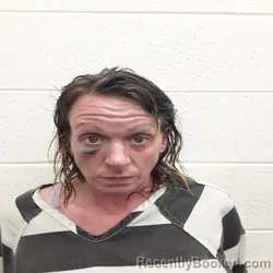 Mugshot of APRIL HEATHER COUCH booked in Monroe County, Tennessee on June 28, 2026