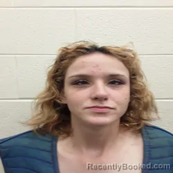 Mugshot of DESTINY AMBER-DAWANNA JONES booked in Monroe County, Tennessee on June 28, 2026