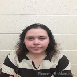 Mugshot of AVA DESIREE HENSLEY booked in Monroe County, Tennessee on June 30, 2026