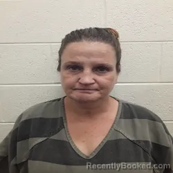 Mugshot of SHANNON LEA ROSIER booked in Monroe County, Tennessee on July 1, 2026