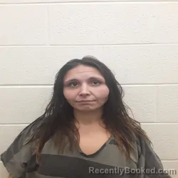 Mugshot of DESTINEY ALYDIA DYDA booked in Monroe County, Tennessee on July 2, 2026