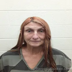 Mugshot of MICHELE DAWN SCIGLIANO booked in Monroe County, Tennessee on July 3, 2026