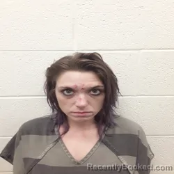 Mugshot of KAYLA DARLENE ASHMORE booked in Monroe County, Tennessee on July 5, 2026
