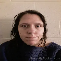Mugshot of FELICIA DIANE PIERCE booked in Monroe County, Tennessee on July 7, 2026