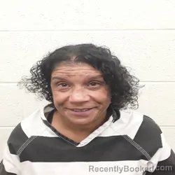 Mugshot of TIFFIANY DAWN WILKERSON booked in Monroe County, Tennessee on July 8, 2026
