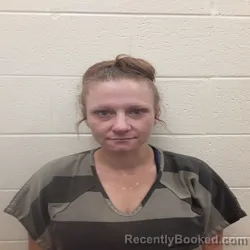 Mugshot of CRYSTAL GRACE HUFFMAN booked in Monroe County, Tennessee on July 9, 2026