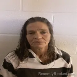 Mugshot of KIMBERLY MESSICK OAKLEY booked in Monroe County, Tennessee on July 11, 2026