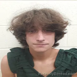 Mugshot of MICHAEL CAMERON RAMSEY booked in Monroe County, Tennessee on July 12, 2026