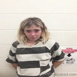 Mugshot of KELSEY JO BINGHAM booked in Monroe County, Tennessee on July 12, 2026
