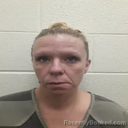 Mugshot of BRANDI NICOLE MYERS booked in Monroe County, Tennessee on July 15, 2026