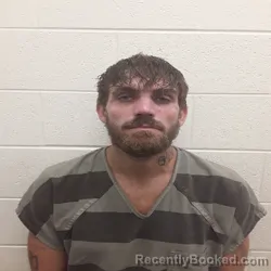 Mugshot of BRANDON ALLEN DAFFRON booked in Monroe County, Tennessee on July 15, 2026