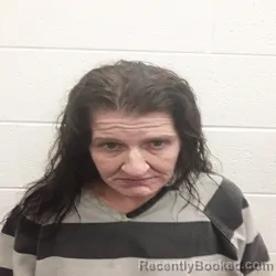 Mugshot of AMBER LIANE WATKINS booked in Monroe County, Tennessee on July 17, 2026