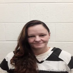 Mugshot of Savannah Crystal Renee Patterson booked in Monroe County, Tennessee on August 4, 2026