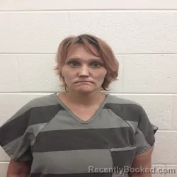 Mugshot of Ashley Dawn Sturgill booked in Monroe County, Tennessee on August 17, 2026