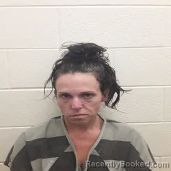 Mugshot of Bridget Deneen Rose booked in Monroe County, Tennessee on August 22, 2026