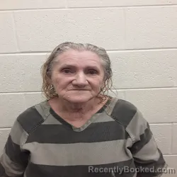Mugshot of Terri Kay Bullock Dortmundt booked in Monroe County, Tennessee on August 24, 2026