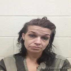 Mugshot of Ashley Brook Sergent booked in Monroe County, Tennessee on August 25, 2026