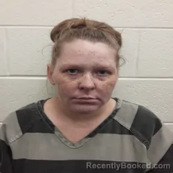 Mugshot of Alexandria Leigh Clark booked in Monroe County, Tennessee on August 25, 2026