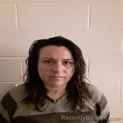 Mugshot of Christina Marie Pearce booked in Monroe County, Tennessee on August 28, 2026