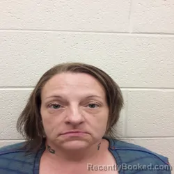 Mugshot of Missy Michelle Clowers booked in Monroe County, Tennessee on August 28, 2026