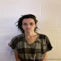 Mugshot of Kali Sue Lawrence booked in Monroe County, Tennessee on August 28, 2026