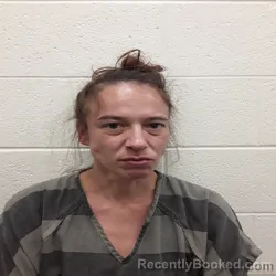 Mugshot of Kelly Renee Mckee booked in Monroe County, Tennessee on August 30, 2026