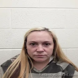 Mugshot of Tamara Charleigh Richesin booked in Monroe County, Tennessee on September 2, 2026