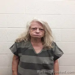 Mugshot of Shannon Renee Huff booked in Monroe County, Tennessee on September 4, 2026
