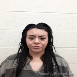 Mugshot of Brittany Taylor Anderson booked in Monroe County, Tennessee on September 8, 2026