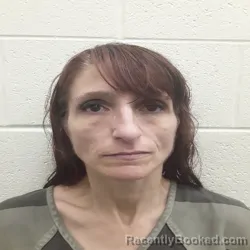Mugshot of Sabrina Michelle Cearley booked in Monroe County, Tennessee on September 10, 2026