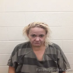 Mugshot of Carey Ann Lucas booked in Monroe County, Tennessee on September 15, 2026