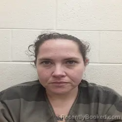Mugshot of Brittany Marie Henry booked in Monroe County, Tennessee on September 15, 2026