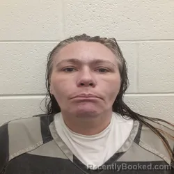 Mugshot of Tashia Leanne Arbogast booked in Monroe County, Tennessee on September 15, 2026