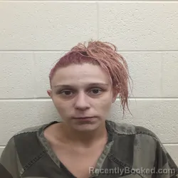 Mugshot of Carina Shannia Cathey booked in Monroe County, Tennessee on September 15, 2026