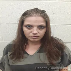 Mugshot of Tara Chantel Mccraw booked in Monroe County, Tennessee on September 16, 2026