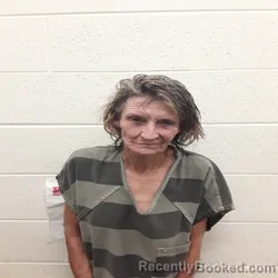 Mugshot of Doris Lynn Brewer booked in Monroe County, Tennessee on September 20, 2026