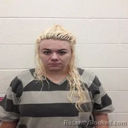 Mugshot of Tisha Marie King booked in Monroe County, Tennessee on October 9, 2026