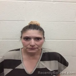 Mugshot of Mary Ann Wooden booked in Monroe County, Tennessee on October 11, 2026