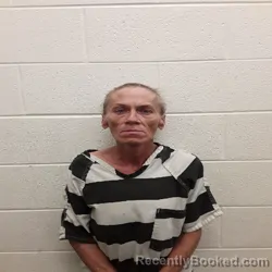 Mugshot of Wilma Jean Bowles booked in Monroe County, Tennessee on October 11, 2026