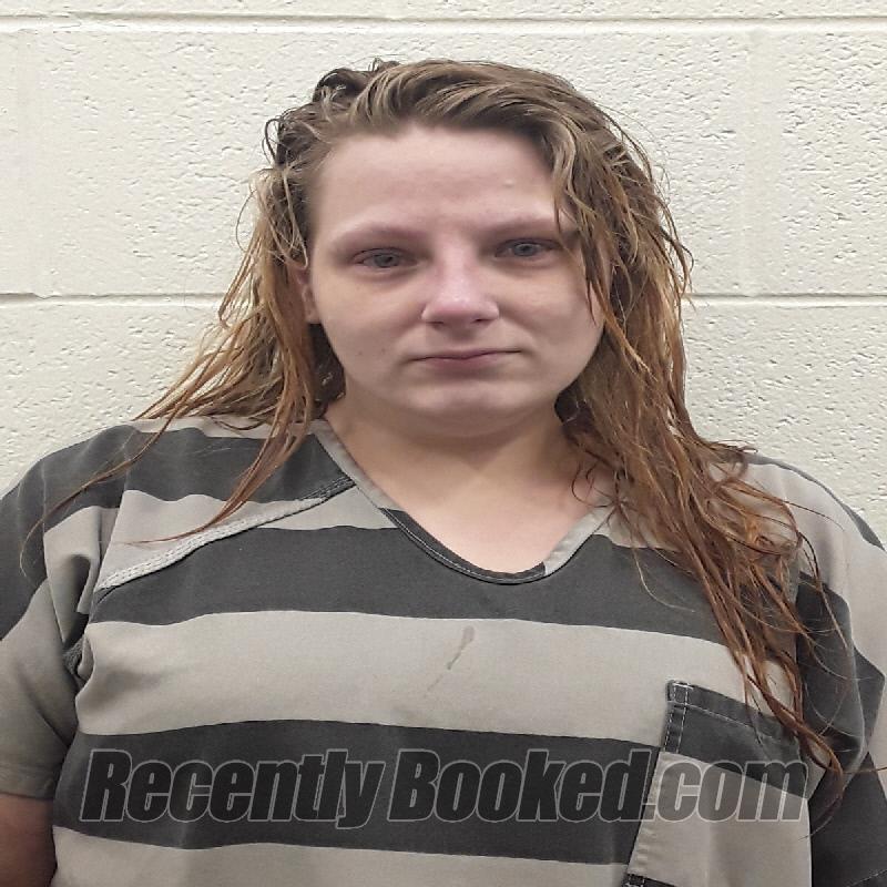 Booking photo from Monroe County, Tennessee