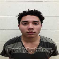 Booking photo from Monroe County, Tennessee