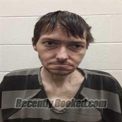 Booking photo from Monroe County, Tennessee