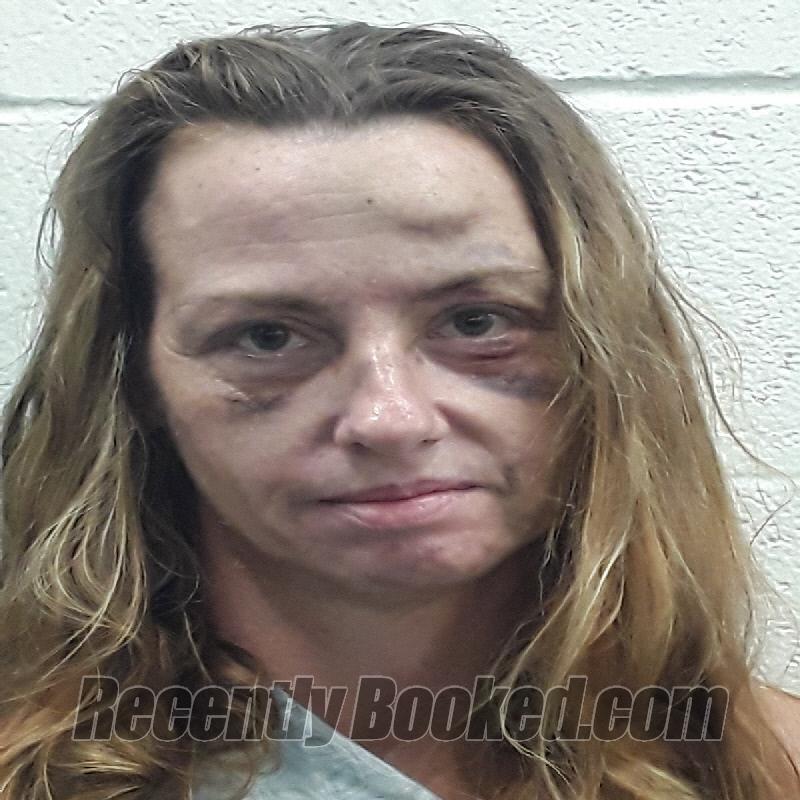 Booking photo from Monroe County, Tennessee