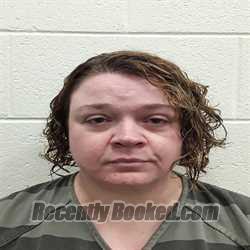 Booking photo from Monroe County, Tennessee